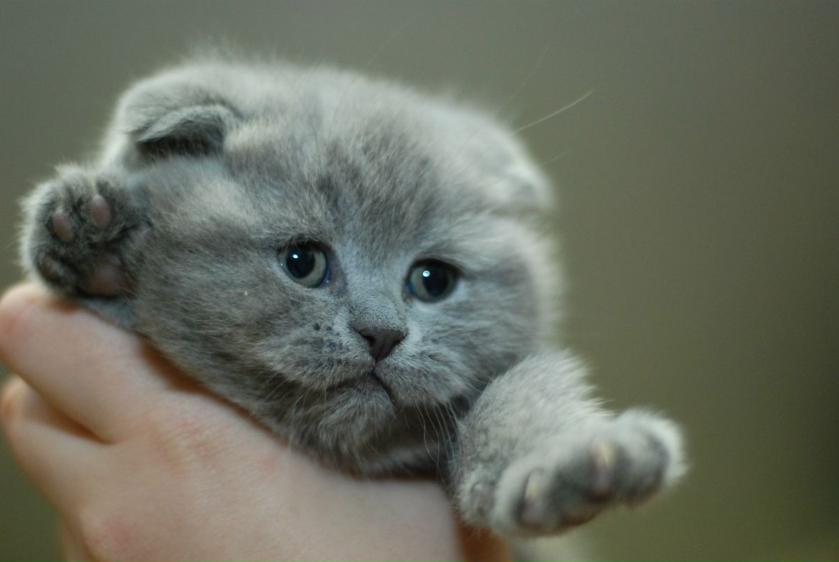 Оксана Киселёва SOLAR | Кемерово