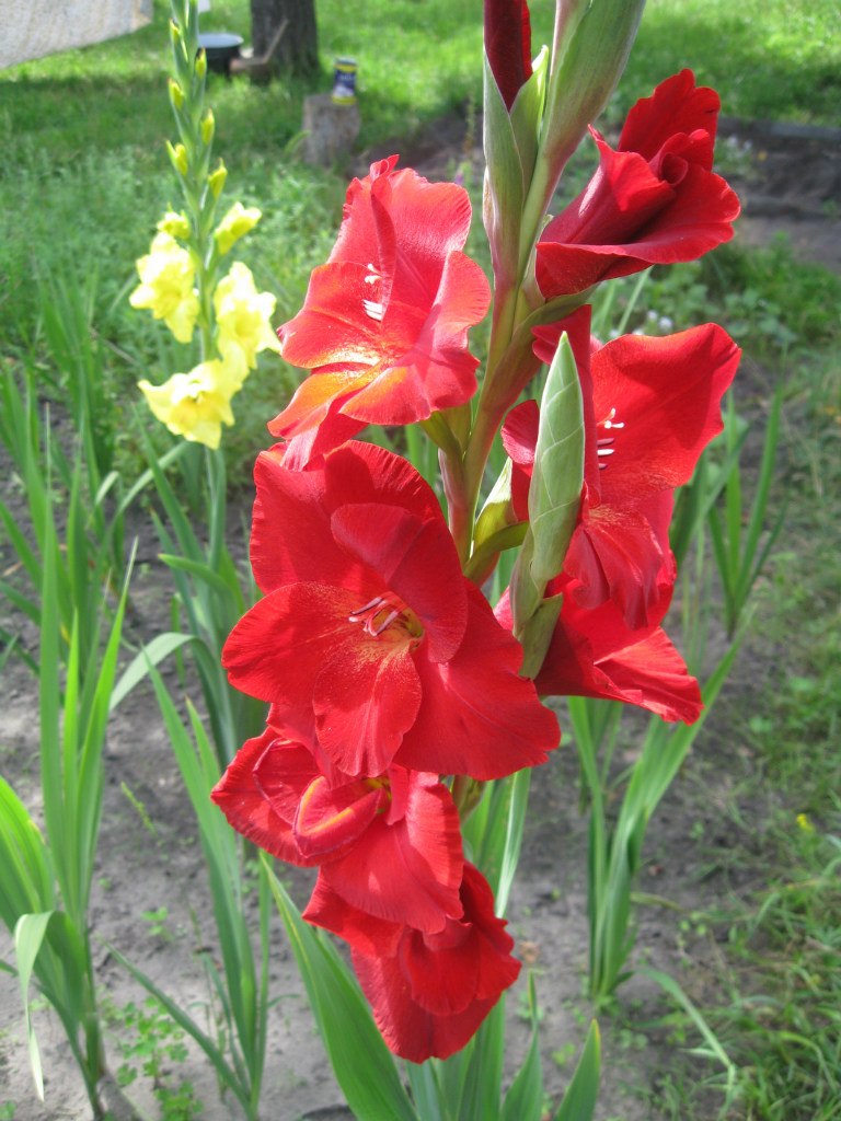 Оксана Гончарова | Санкт-Петербург