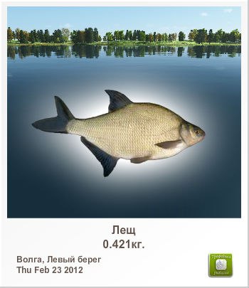 Максим Латушкин | Санкт-Петербург