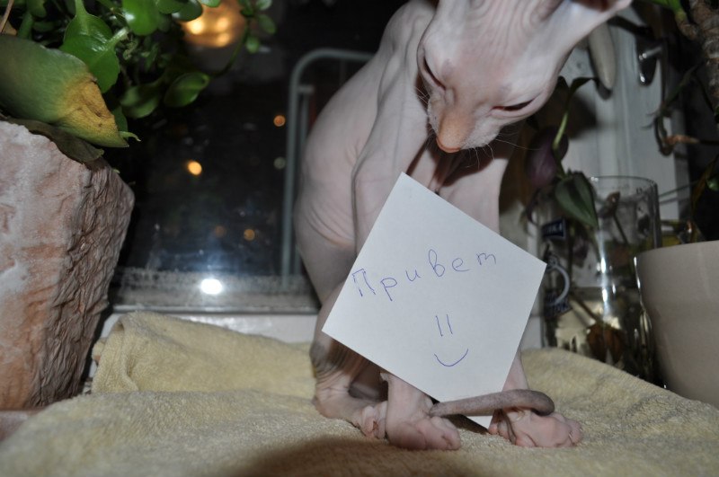 Александр Мезников | Воркута