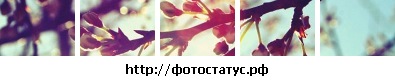 №124, Ирина Милютина №124, Ирина Милютина