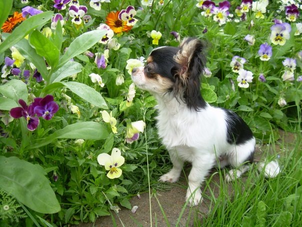 №6, Женя Ручкин, Санкт-Петербург №6, Женя Ручкин, Санкт-Петербург