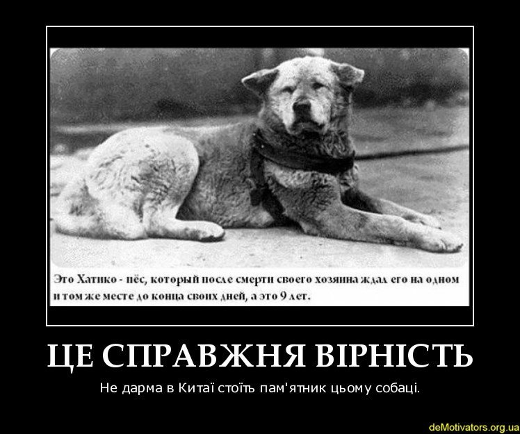 Олег Кудрій | Тернополь