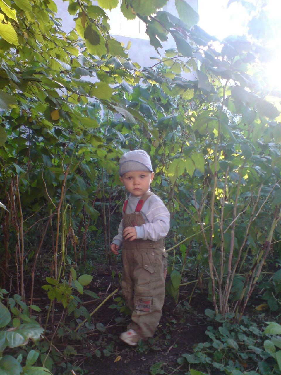 Наталия Филипович | Хмельницкий