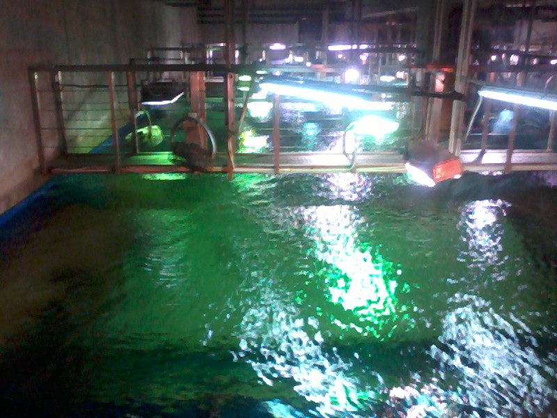 Татьяна Баранова | Санкт-Петербург