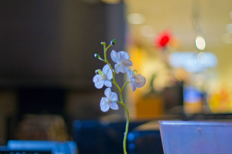 Егор Петров | Санкт-Петербург