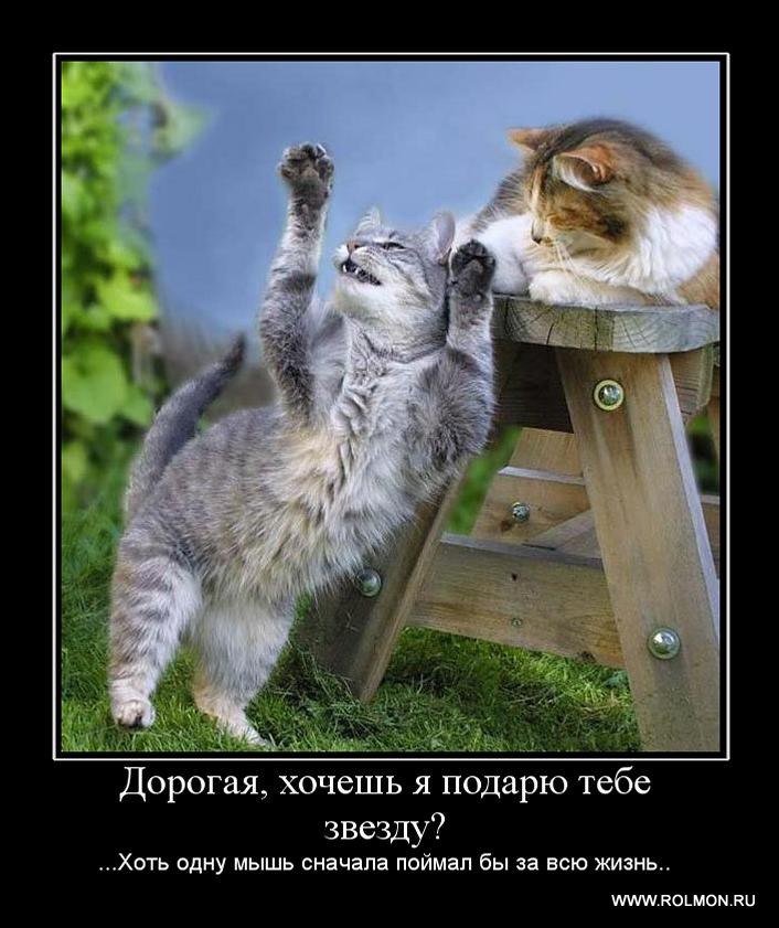 Александр Якименко | Мариуполь