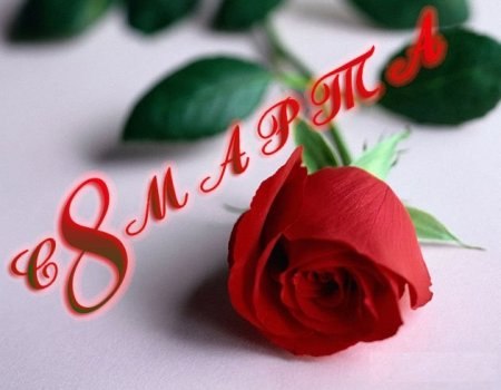 Алексей Акатов | Курск