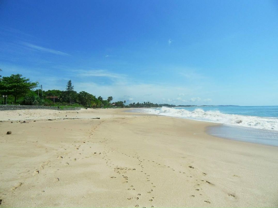 Дмитрий Назаров | Москва