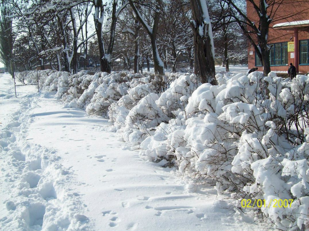 Янина Литвин | Кропивницкий / Кировоград