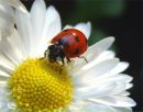 №38 Анна Емельянова : профиль, фото, статус - ВКонтакте