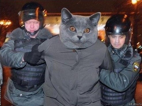 Александр Астанин | Омск