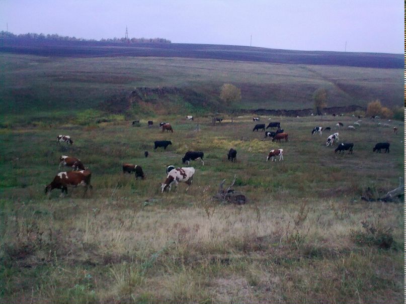 Татьяна Терехова | Альметьевск