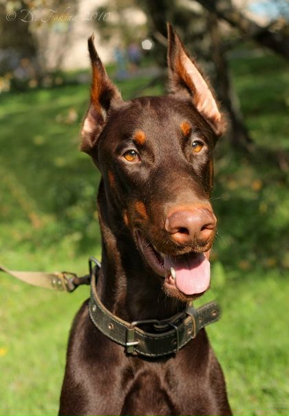 Лейла Велиева | ВКонтакте