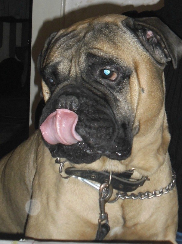 Алёна Федосеева | 