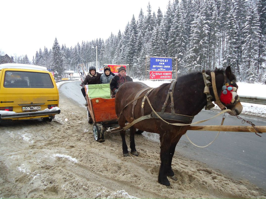 Роман Котеленец | Киев