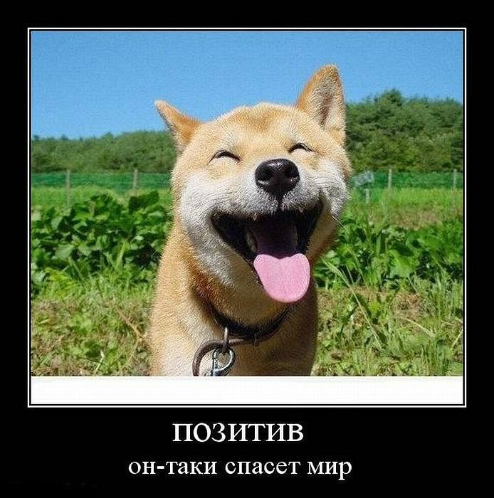 Александр Лукишко | Нягань