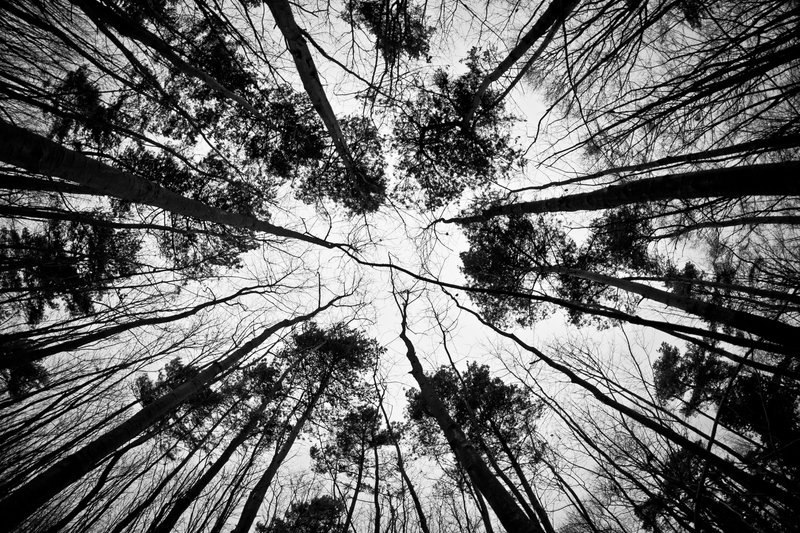 Алексии Кулына | 