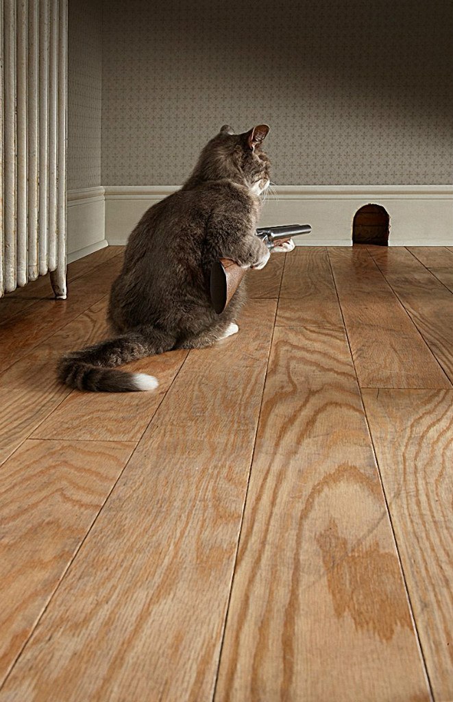 Роман Иванов | Нижний Новгород