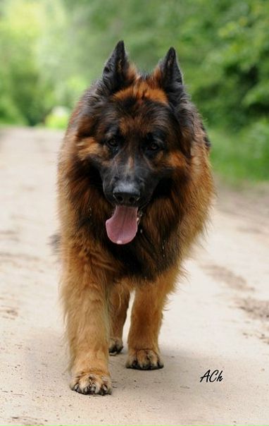 №183, Иван Онищук, 36 лет, Тверь №183, Иван Онищук, 36 лет, Тверь