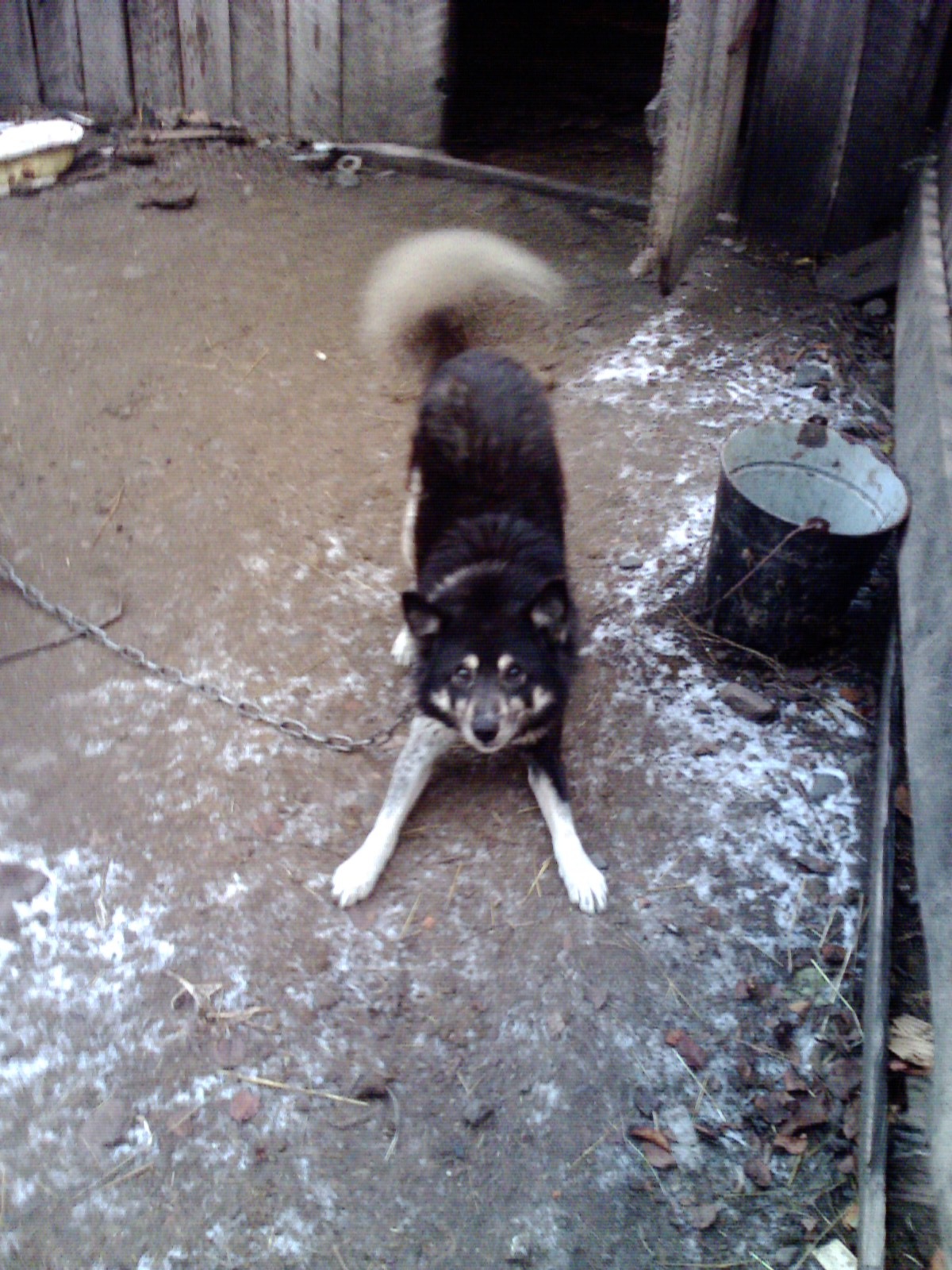 Фото профиля