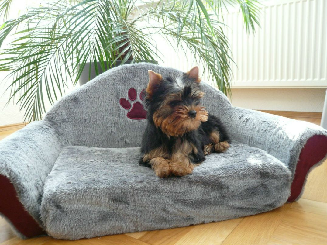 Elena Ivanova | Таллин