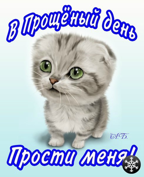 Александр Ермаков | Санкт-Петербург