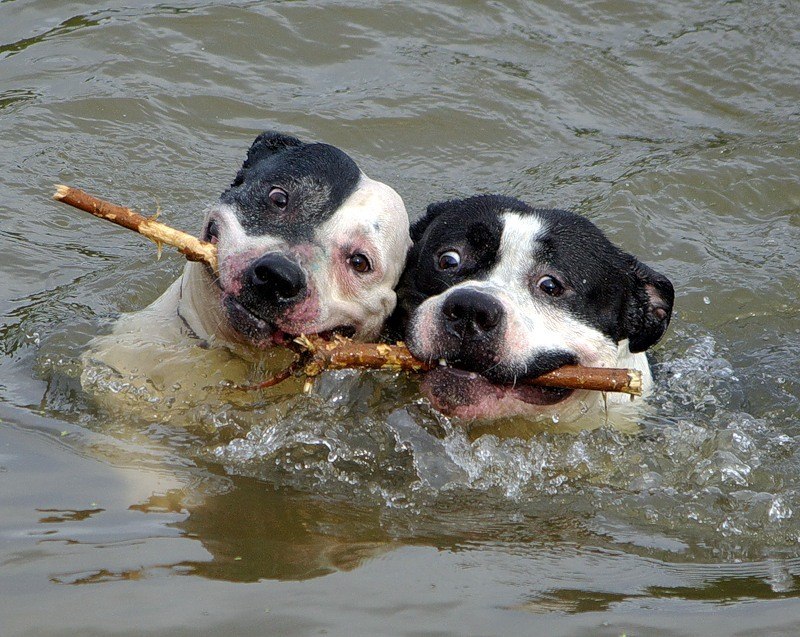 Евгений Целуковский | Назарово