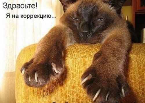 Ирина Катанцева | Мелитополь