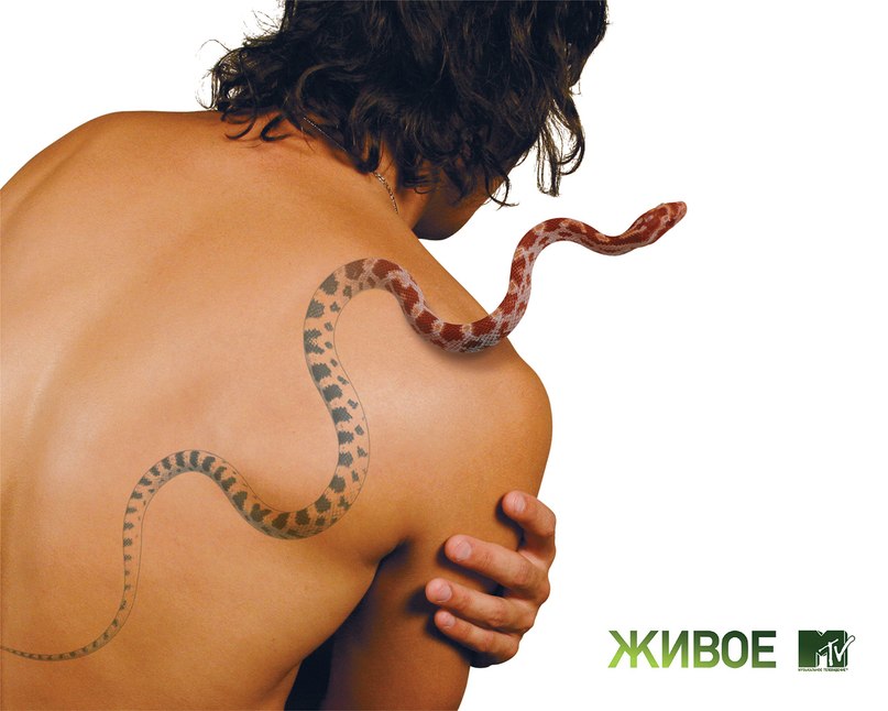 Тимур Абибулаев | 