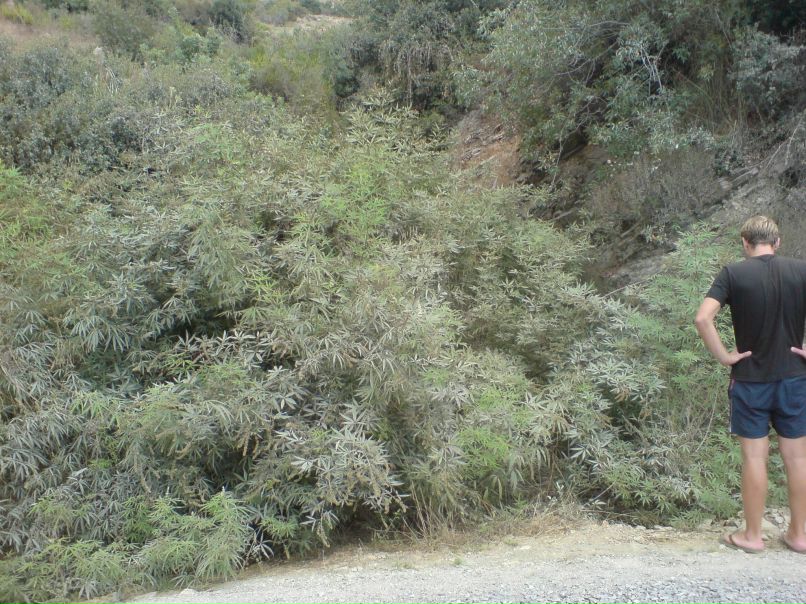 Павел Листунов | Киров