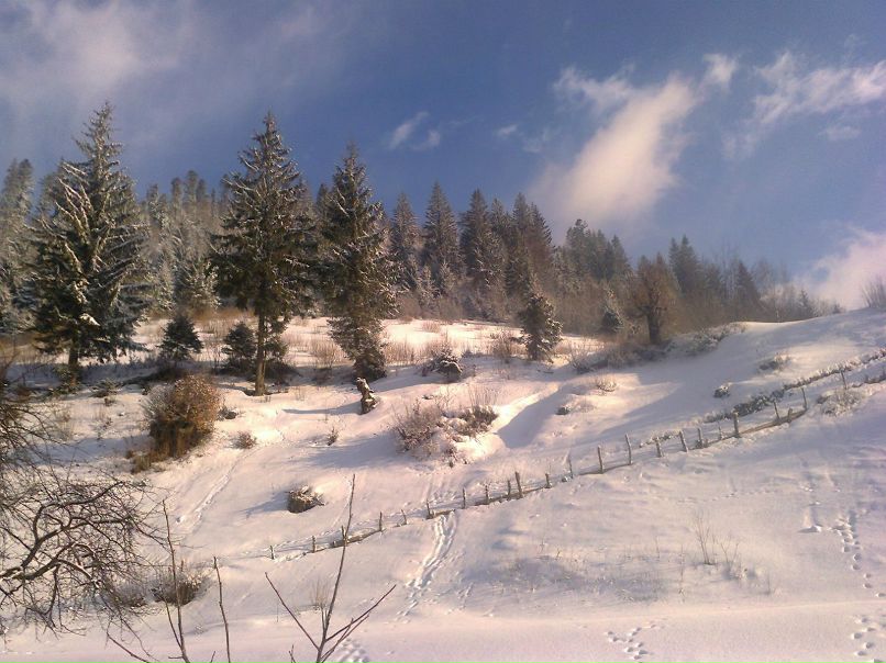 Юрій Фабрицій | Ужгород