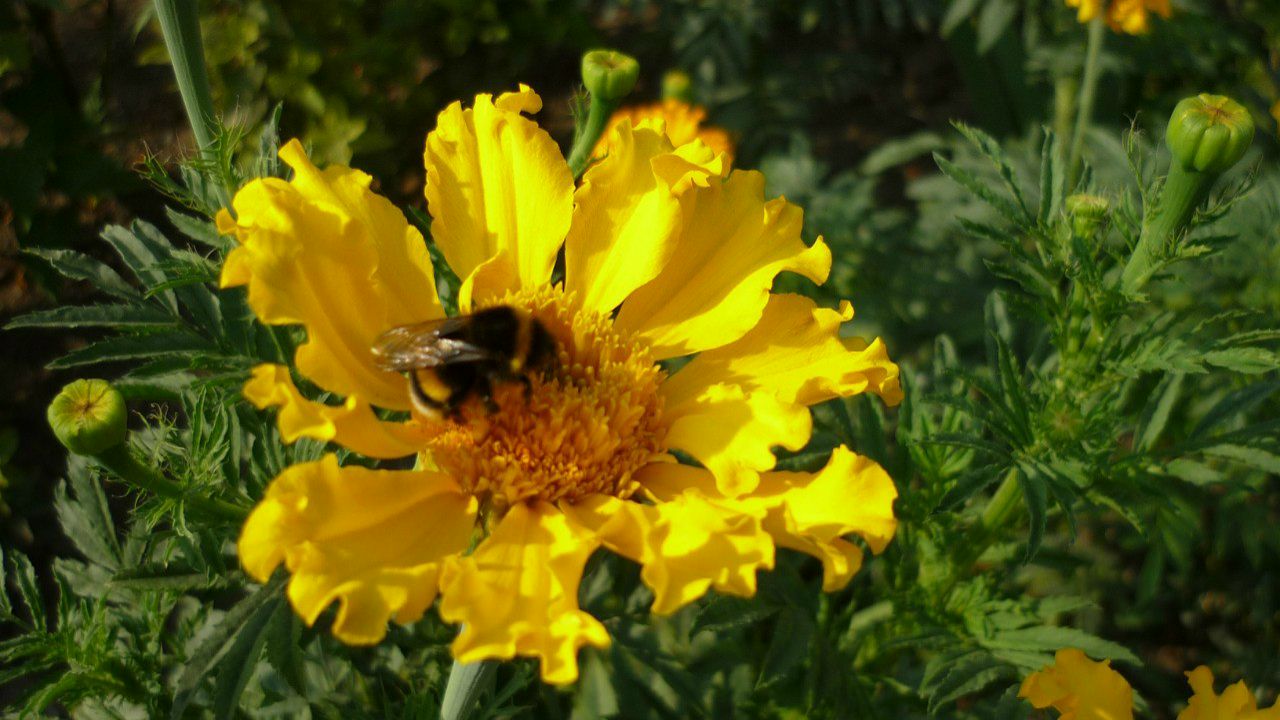 Вячеслав Чураков Вадимович | Полтава