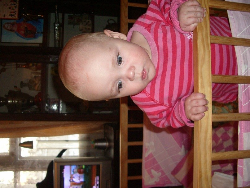 Дмитрий Гузий | Запорожье