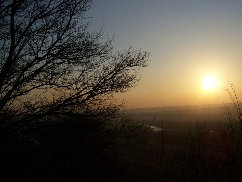 Світлана Рега | Ивано-Франковск