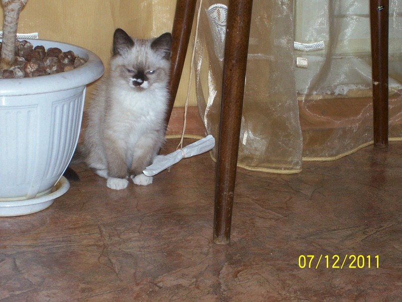 Галина Илларионова | Нижний Новгород