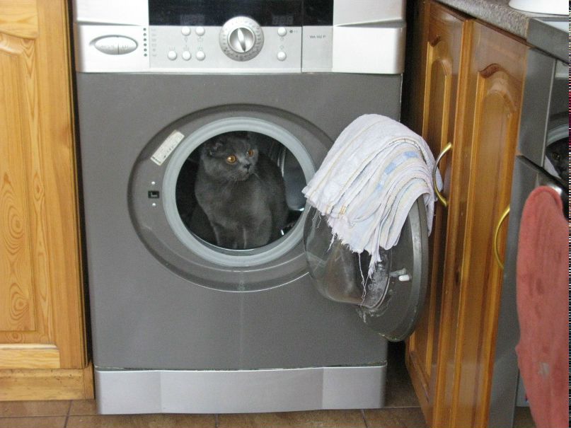 Арсений Никитин | Москва