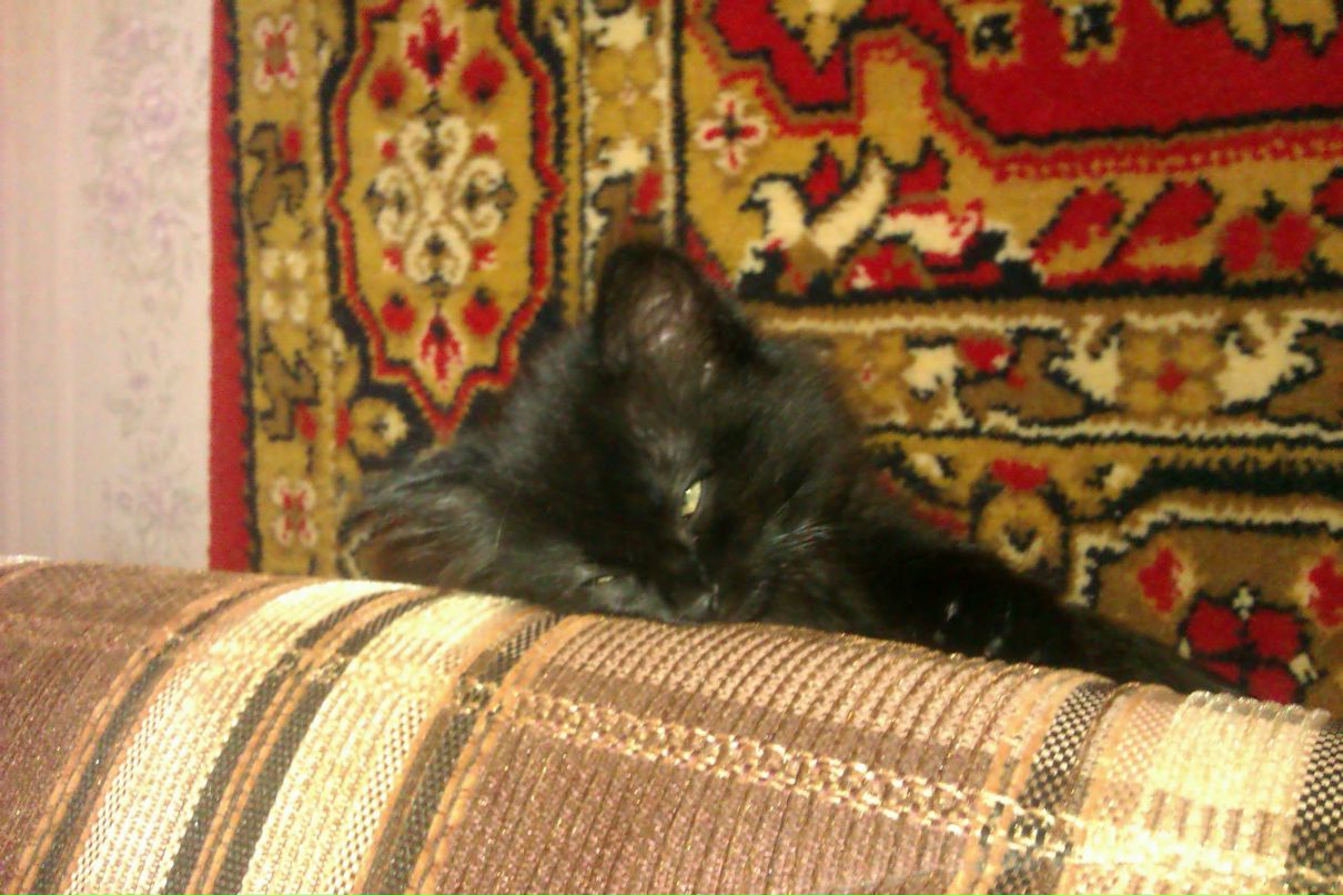 Полина Ситникова | Череповец