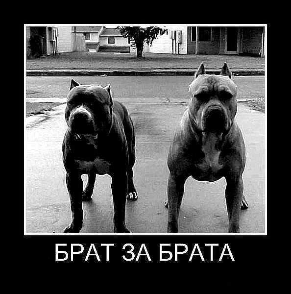 Назар Ткачук | Хмельницкий