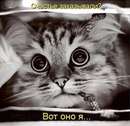 Фотография Кимарской Светланы