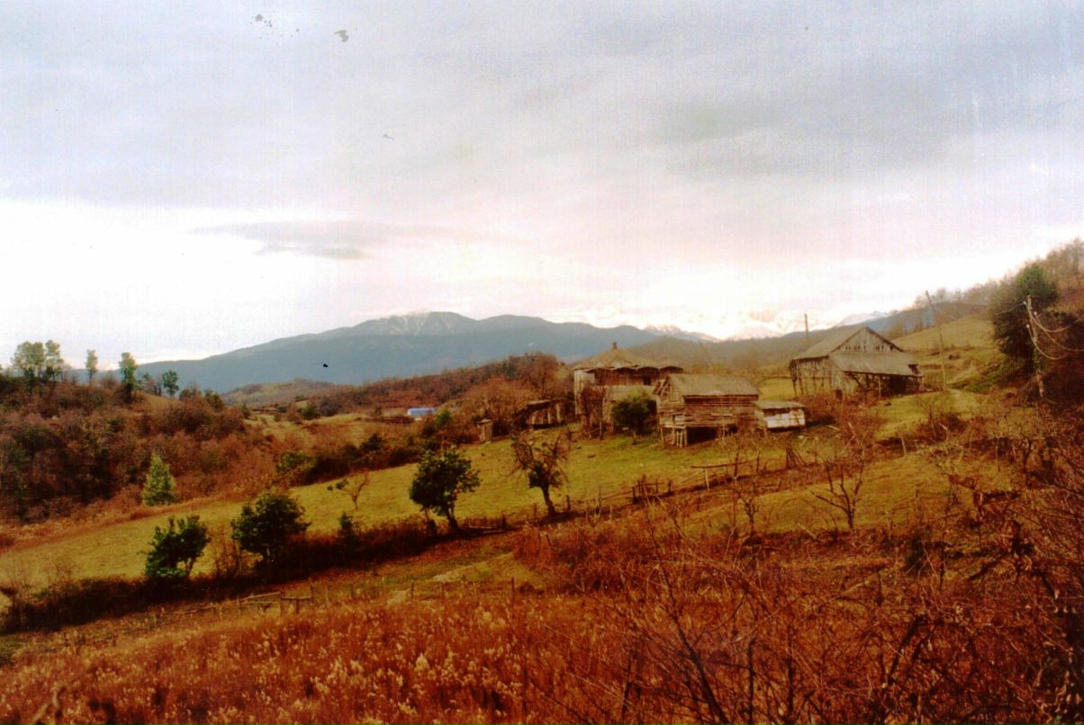 Ольга Старшинова - ostar - | Москва