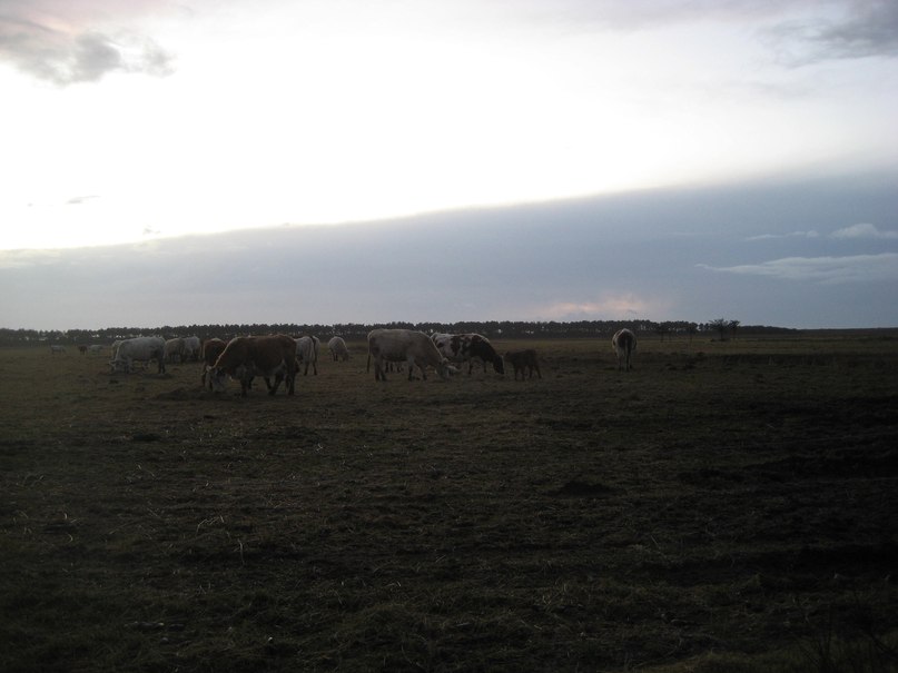 Екатерина Григолайт | Hamburg