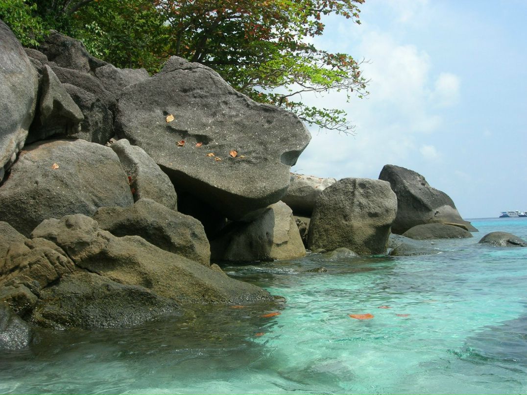 Антон Ермолов | Москва