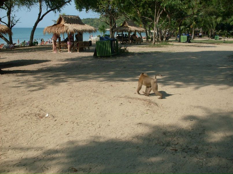 Светлана Федорова | Санкт-Петербург