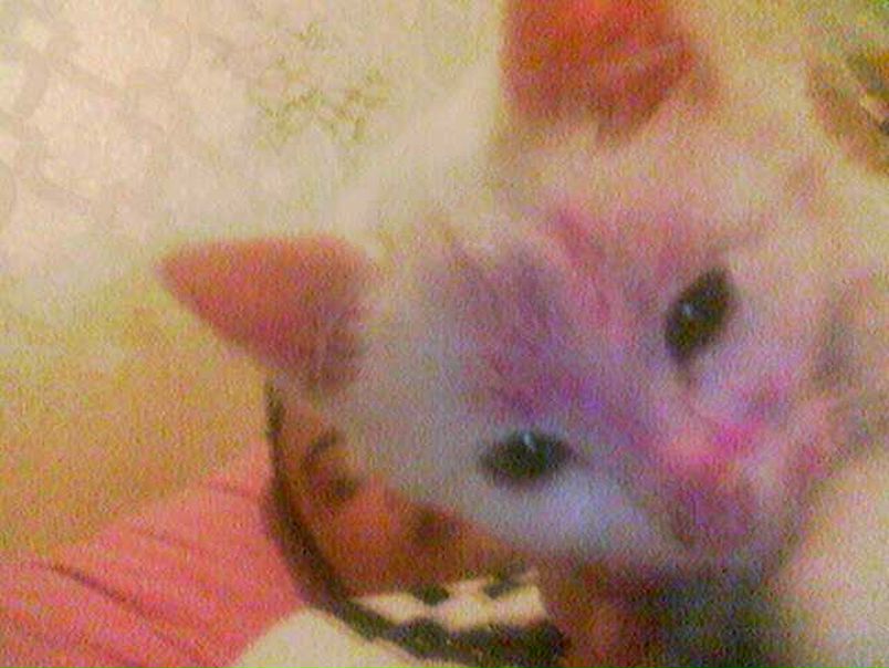 №19, Сергей Микуть, 29.12.1990 №19, Сергей Микуть, 29.12.1990