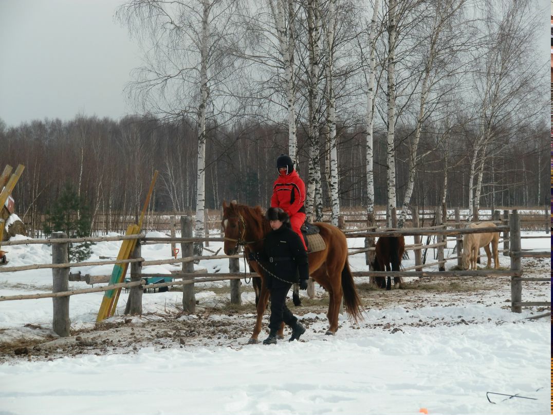 Елизавета Травкина | Санкт-Петербург