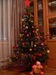 Даша Винокурова фотография #18