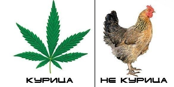 №190, Наталья Соловьёва, 18.3 №190, Наталья Соловьёва, 18.3