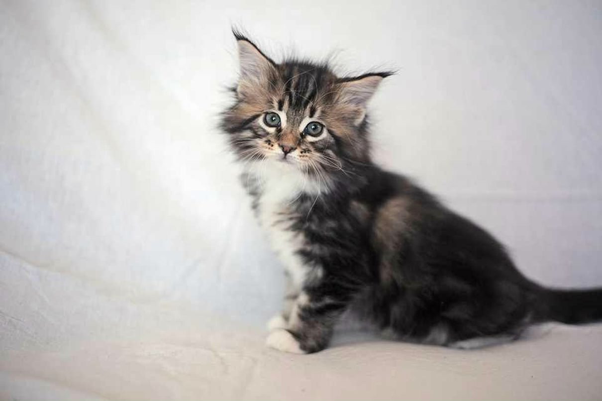 Ксения Прохорова | Москва