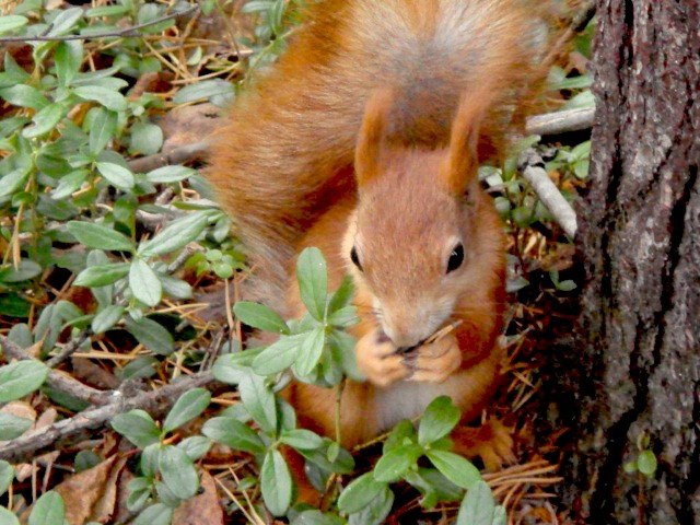 Юрий Дронов | Екатеринбург